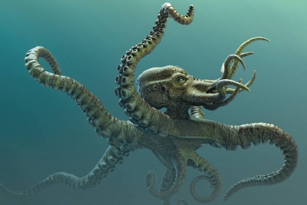 Kraken телеграмм